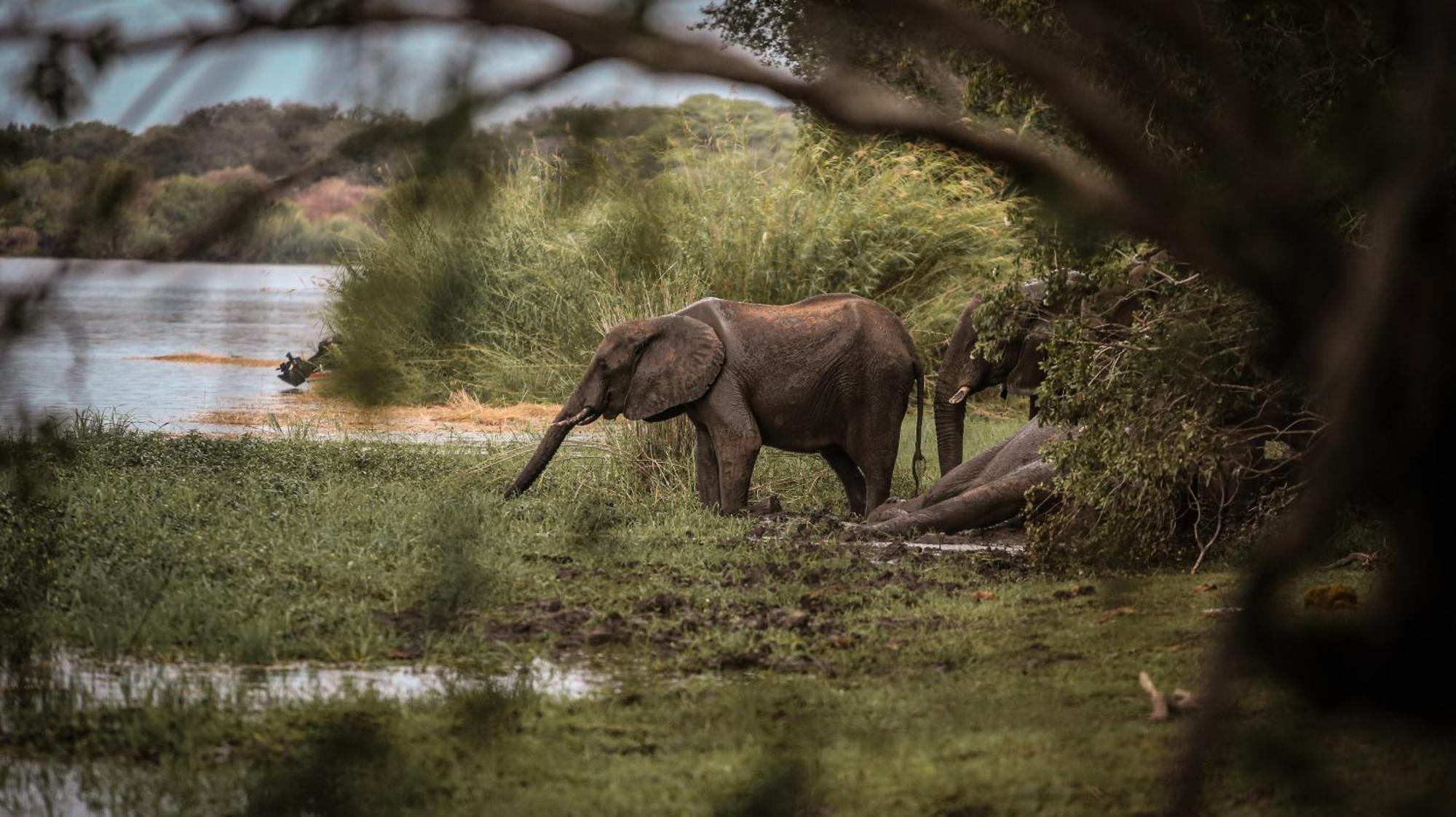 Chundukwa River Lodge - Self Catering House Livingstone Esterno foto